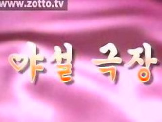 Korean Sex TV 3