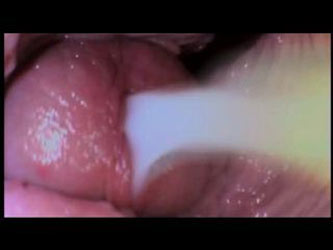 Ass Cumshot Inside