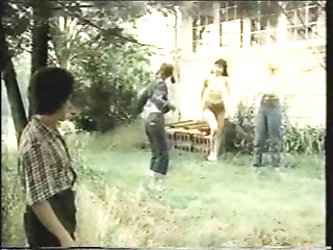 The Farmers Daughters (1976)